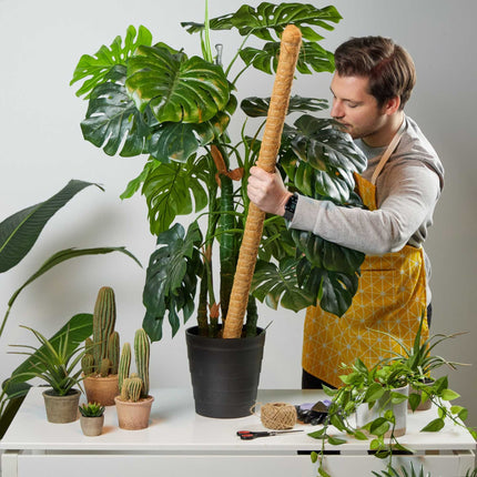5er Set Kokosstäbe 90 cm